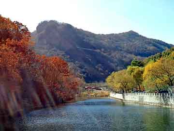 新澳天天开奖资料大全旅游团，迁安物流